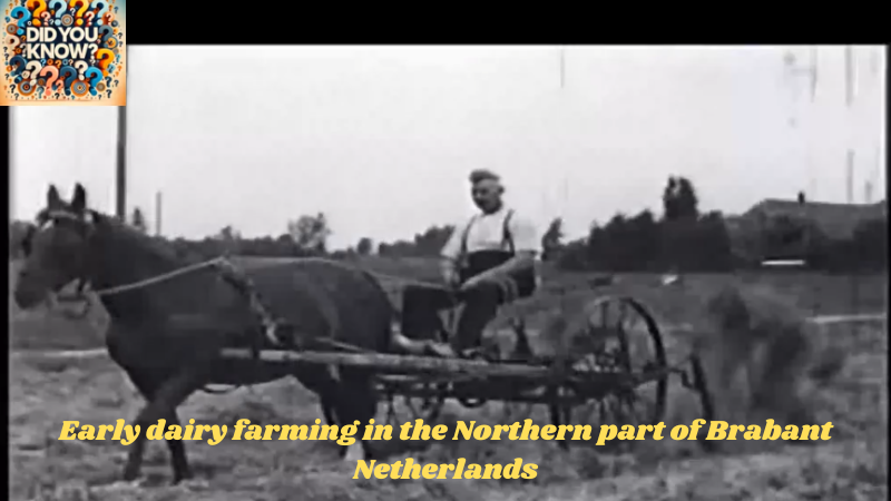 Early dairy farming in the Northern part of Brabant Netherlands