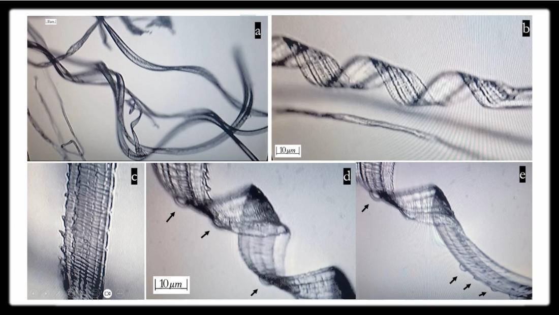 Recent Study Shows Self-Assembly Nanobots in the COVID-19 Injectables