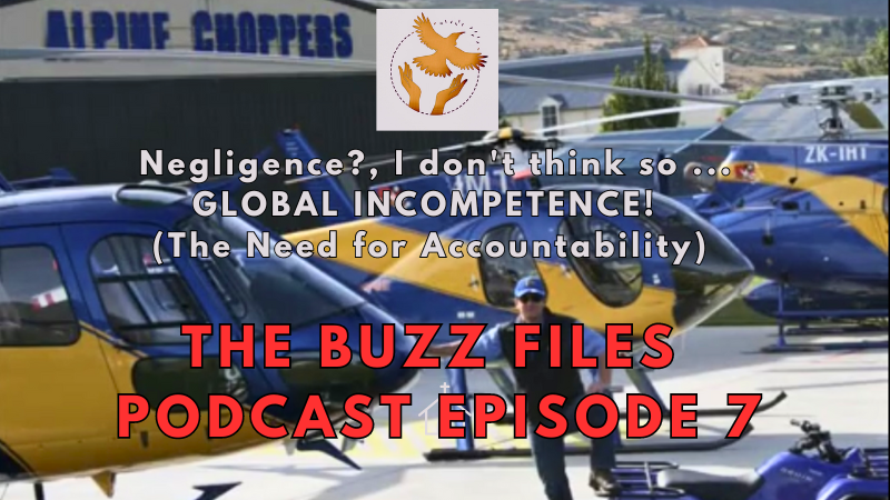 The Buzz Files Podcast Episode 7 of 12 - Negligence?, I don't think so ... GLOBAL INCOMPETENCE! (The Need for Accountability)