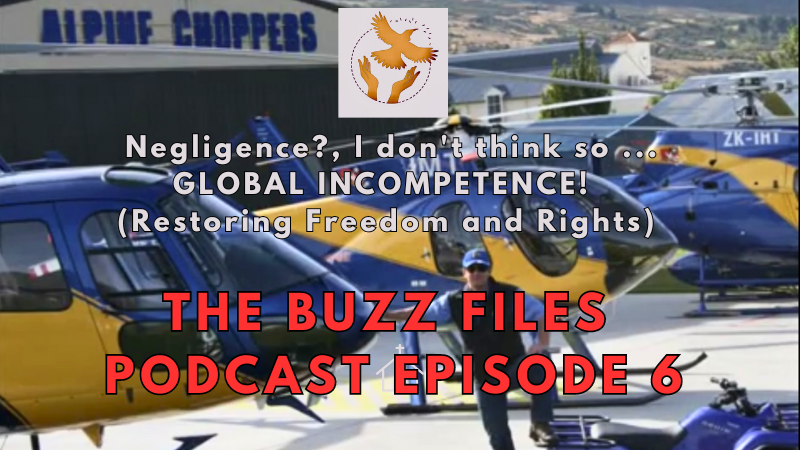 The Buzz Files Podcast Episode 6 of 12 - Negligence?, I don't think so ... GLOBAL INCOMPETENCE! (Restoring Freedom and Rights)