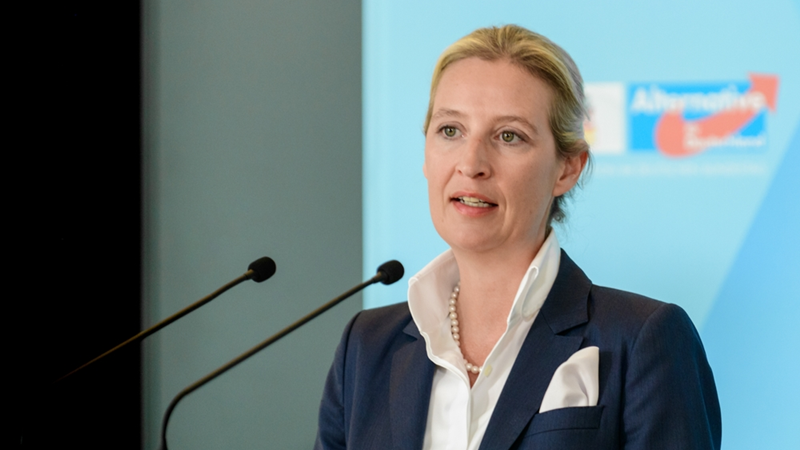 We may join Orbán’s EU parliament right-wing alliance, says Germany’s AfD co-leader Weidel